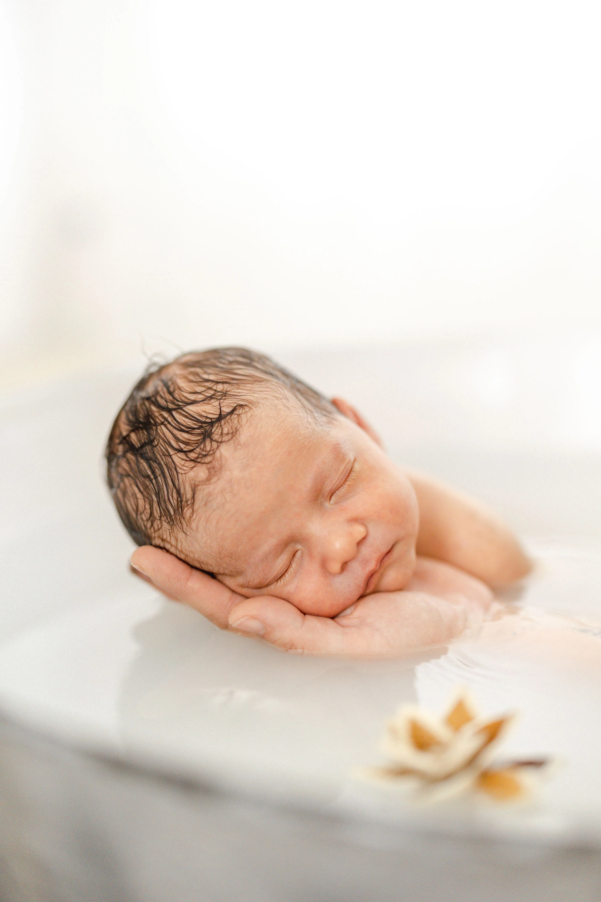 enfant naissance gris marron bébé